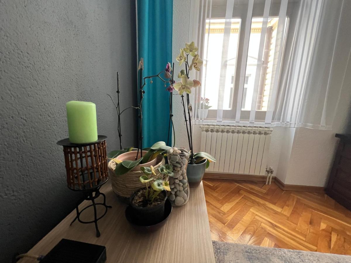 Djana Apartment سراييفو المظهر الخارجي الصورة